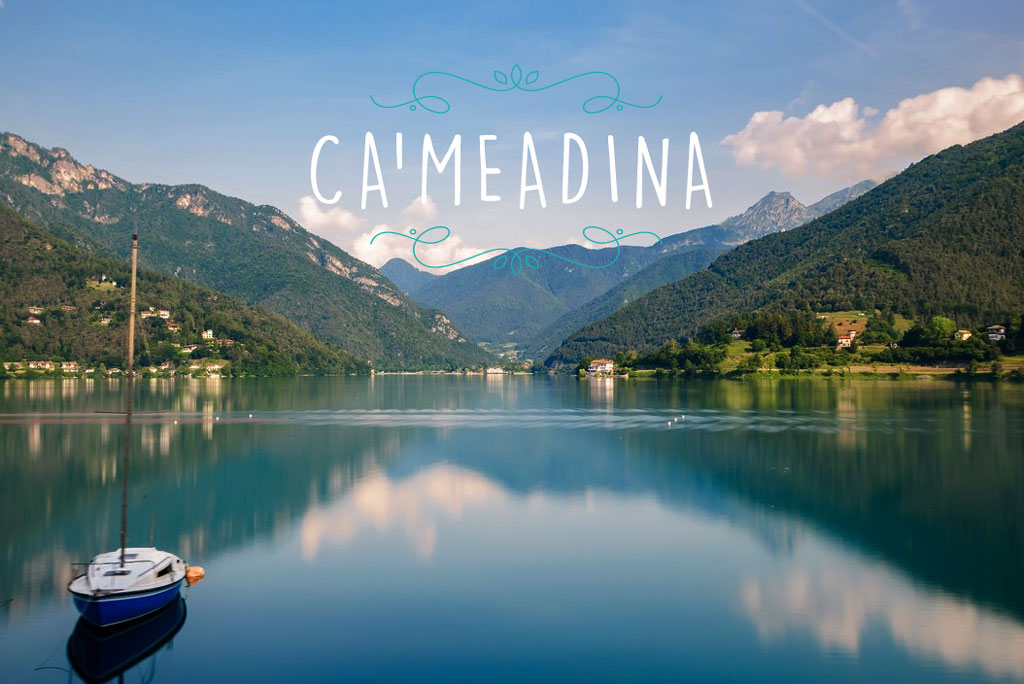 Ca mea Dina si rinnova